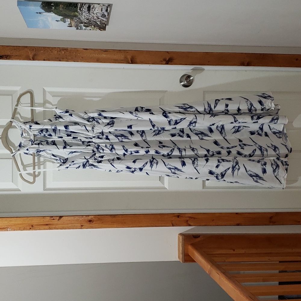 Modcloth brand SunnyGirl hummingbird maxi dress